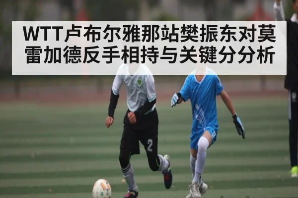 WTT卢布尔雅那站樊振东对莫雷加德反手相持与关键分分析