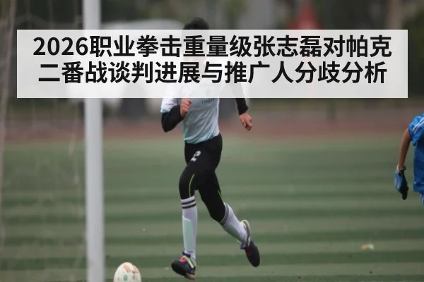 2026职业拳击重量级张志磊对帕克二番战谈判进展与推广人分歧分析